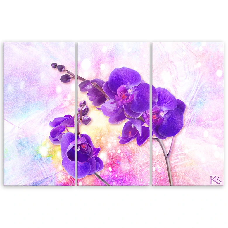 Leinwandbild 3 teilig, Lila Orchideenblume 