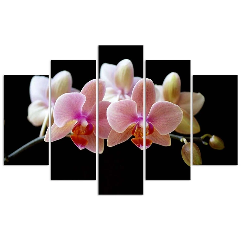 Leinwandbild 5 teilig, Rosa Orchidee 