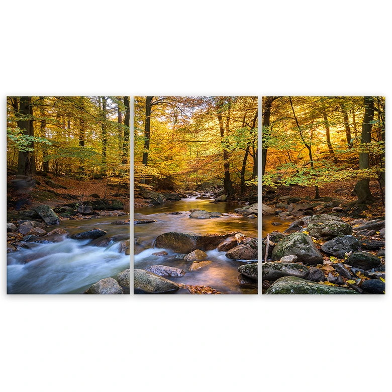 Leinwandbild 3-teilig, Wald Herbst Bach Natur 