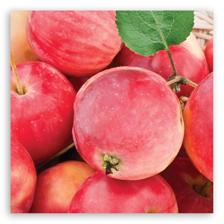 Leinwandbild, Makro -Apple Obst 