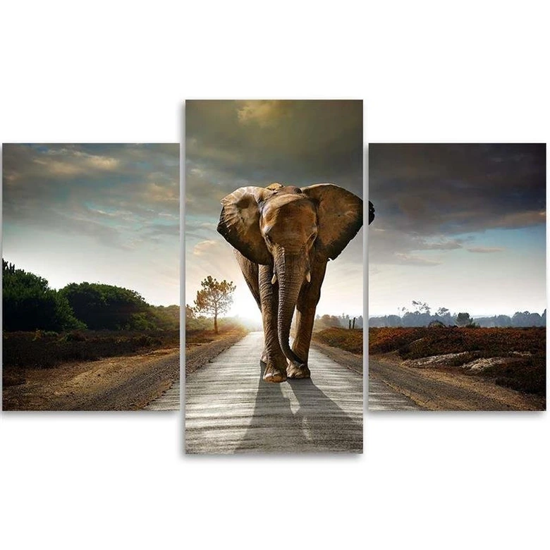 3-delt lærredstryk, Elephant on the Road 