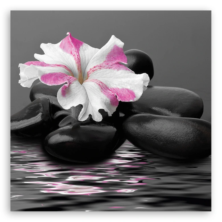 Leinwandbild, Steine ​​rosa Blume Zen 