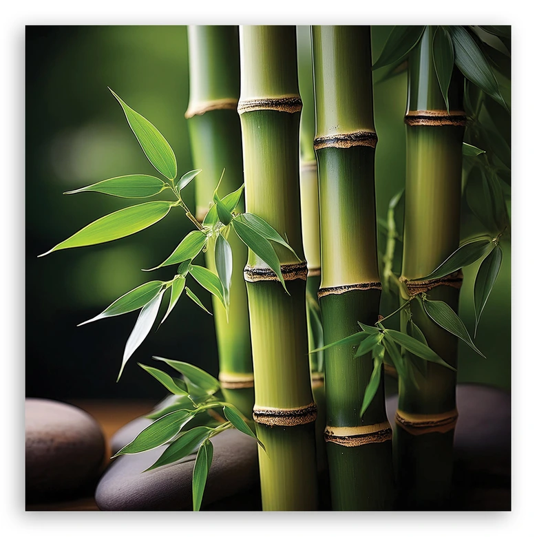 Leinwandbild Orientalischer Zen-Bambus 