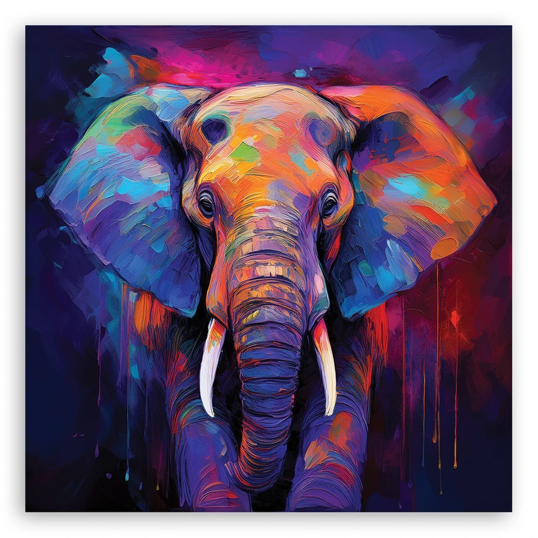 Leinwandbild Elefant Tiere Farbig 