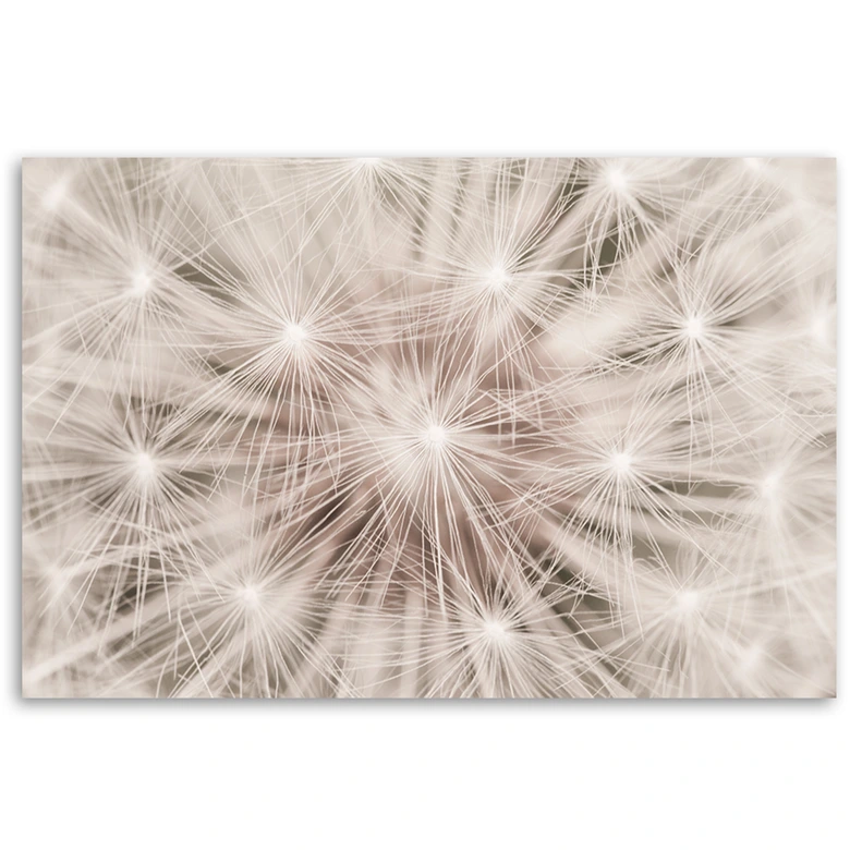 Leinwandbild, Pusteblume Natur Makro 