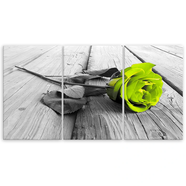 Leinwandbild 3-teilig, Rose Blume grün  
