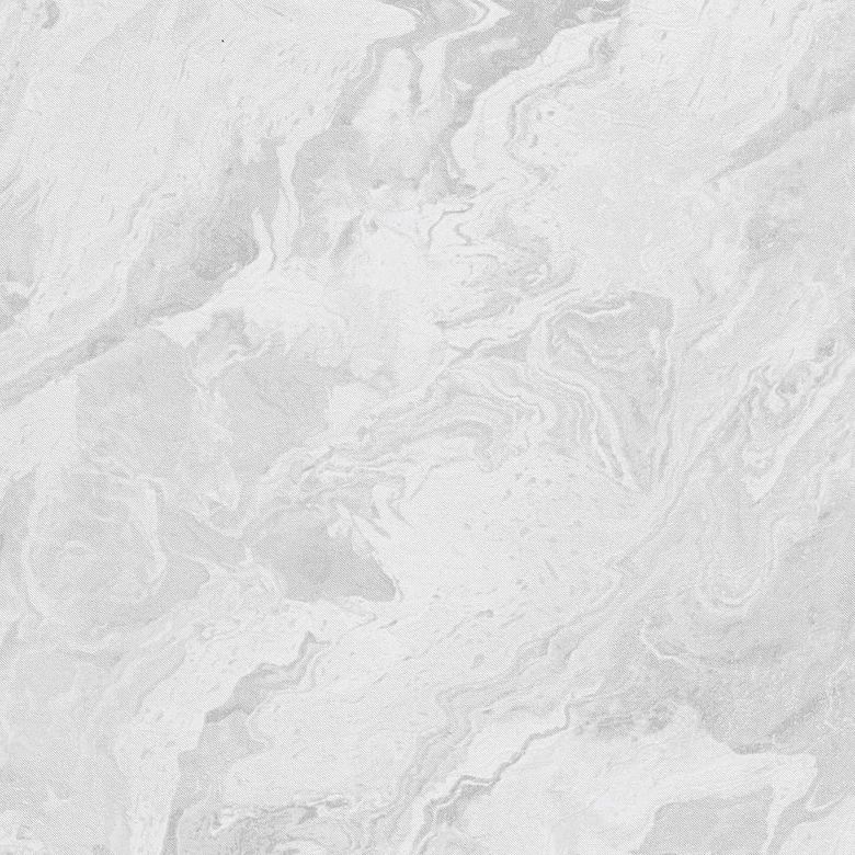 Erismann Vliestapete Evolution creme 