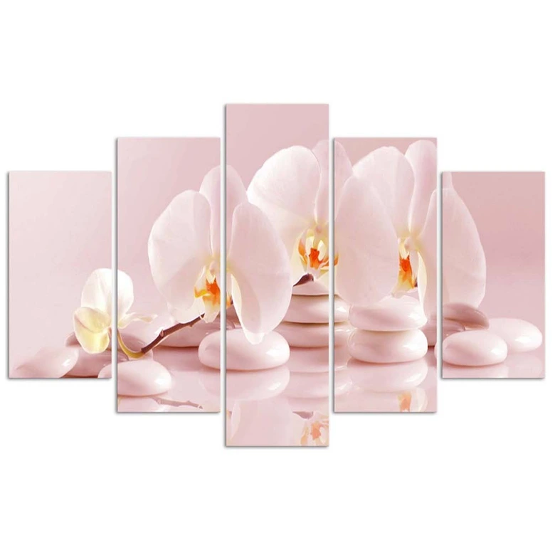Leinwandbild 5 teilig, Rosa Blume Orchidee 