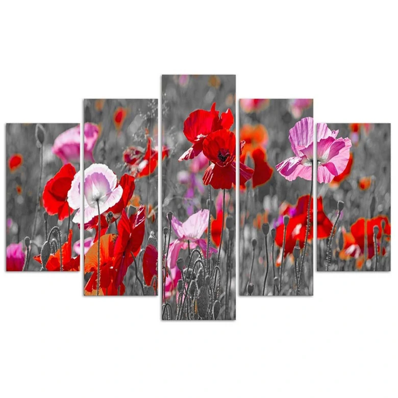 Leinwandbild 5 teilig, Roter Klatschmohn 