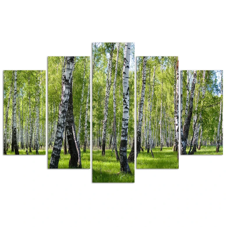 Leinwandbild 5 teilig, Birkenwald 