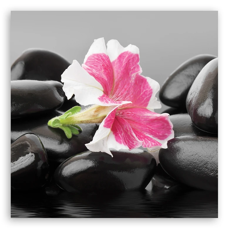 Leinwandbild, Rosa Blume auf Zen Stones 