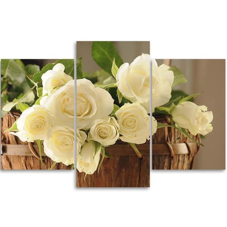 Leinwandbild 3-teilig, Weiße Rosen 