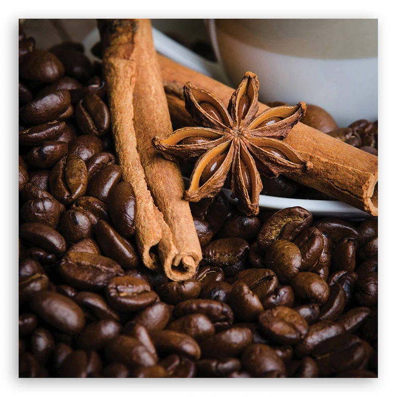 Canvasbillede, Anya Star og kaffe 