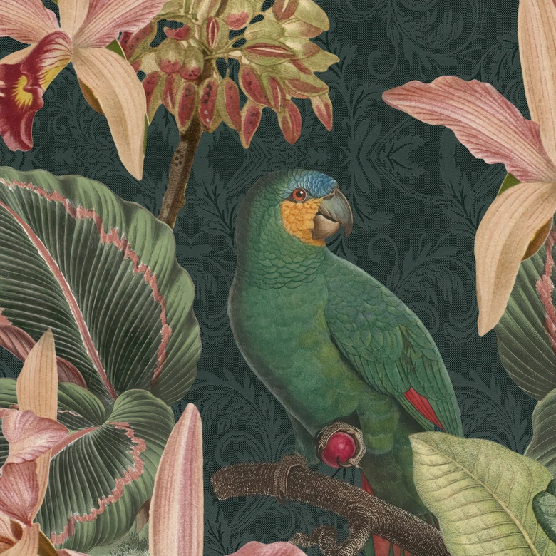 Fototapete Dschungel mit Papageien Nachtgrün | Urban Jungle Tapete - Bloomery Decor 