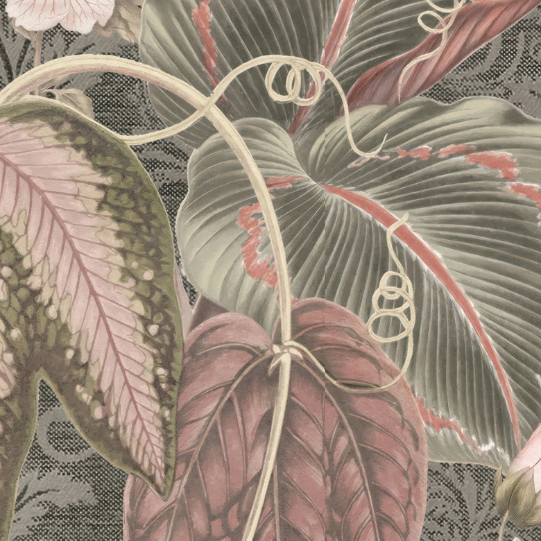 Fototapete Dschungeltapete Tukan im Tropenwald - Bloomery Decor 