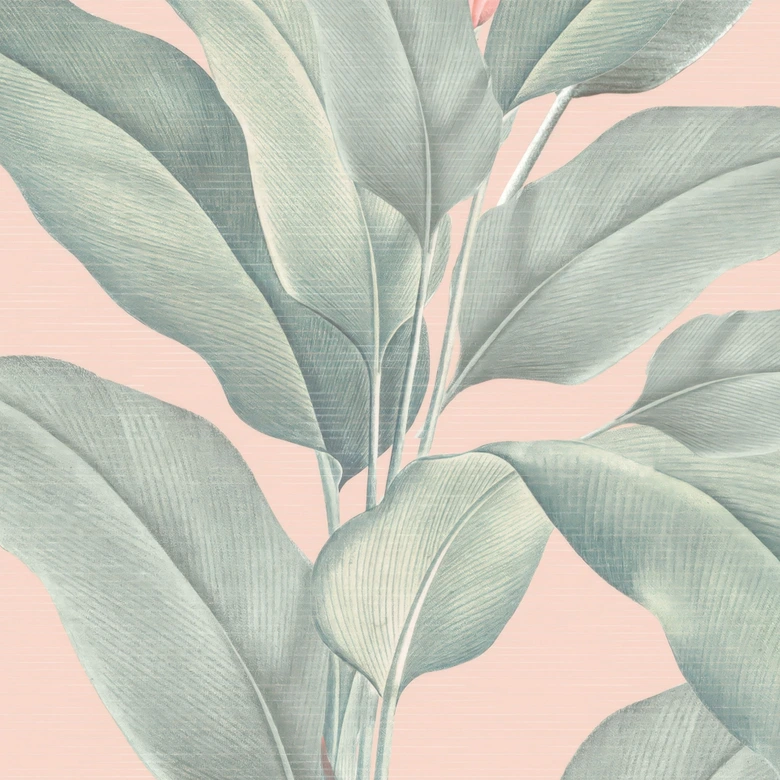 Fototapete Bananenblätter - Urban Jungle Tropenblätter Rosa - Bloomery Decor 