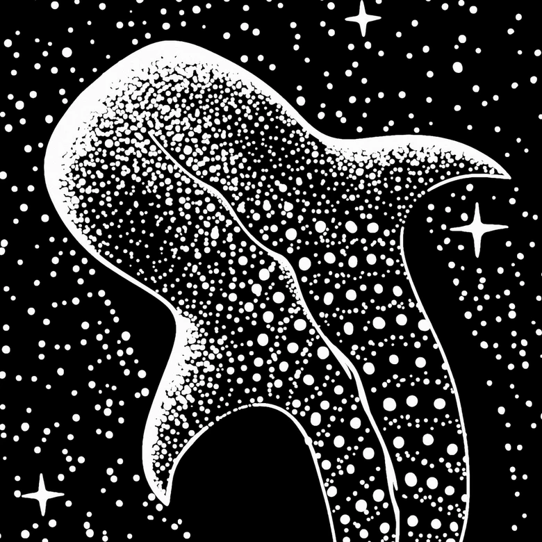 Fotomural de dormitorio - tiburón ballena en el océano de estrellas - Cakir 