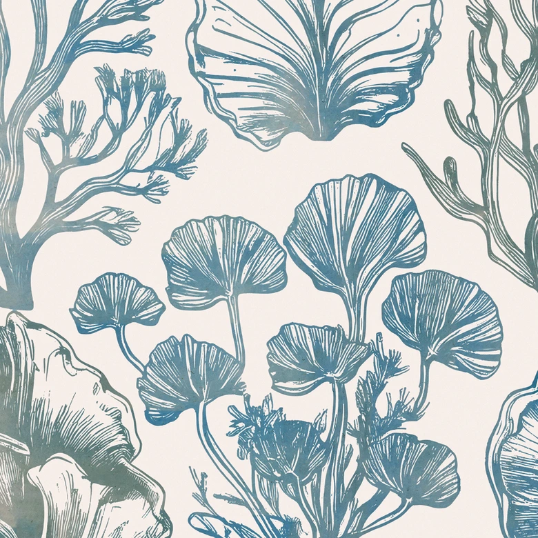 Fototapete Filigrane Algen und Muscheln | Botanische Illustration - casa cartissi 