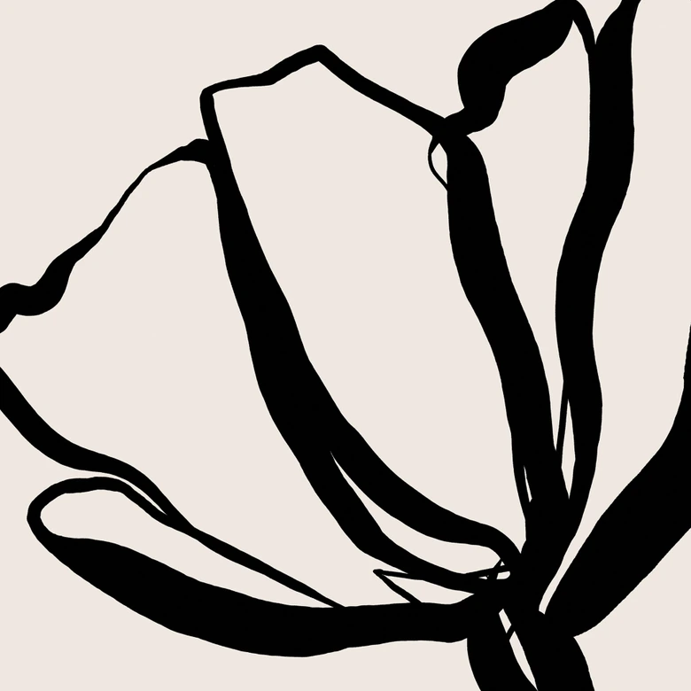 Florale Fototapete Line Art Mohnblume - Cats & Dotz 