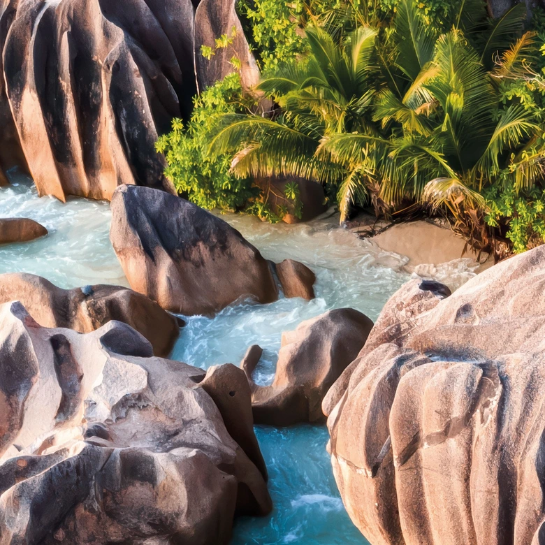 Fototapeta Tropikalne skaliste wybrzeże Seszeli - Kolombo 