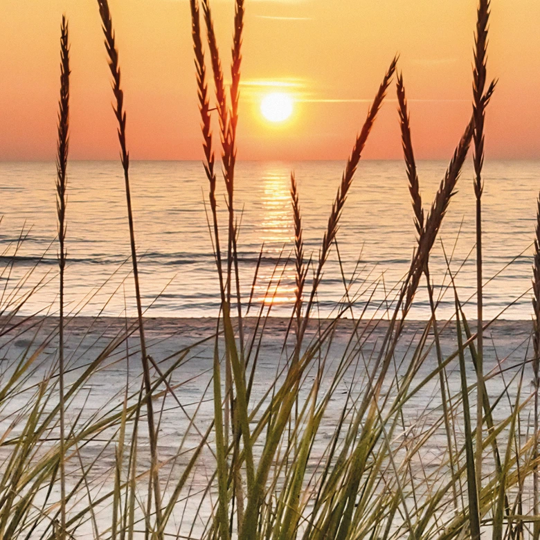Fotomural Duna en la playa al atardecer - redondo - Papel pintado autoadhesivo/no tejido 