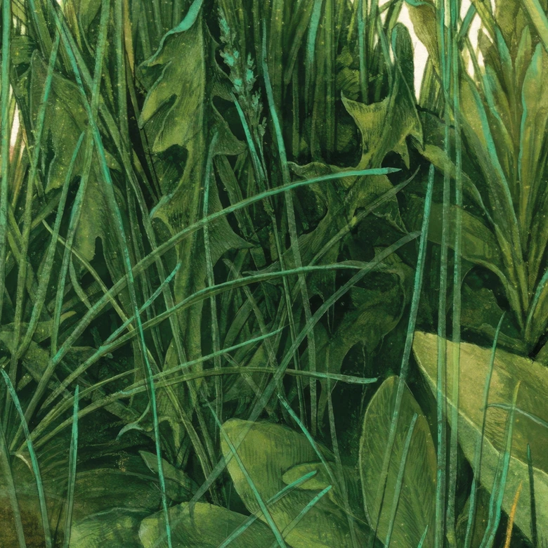 L - Albrecht Dürer - Great Piece of Turf 