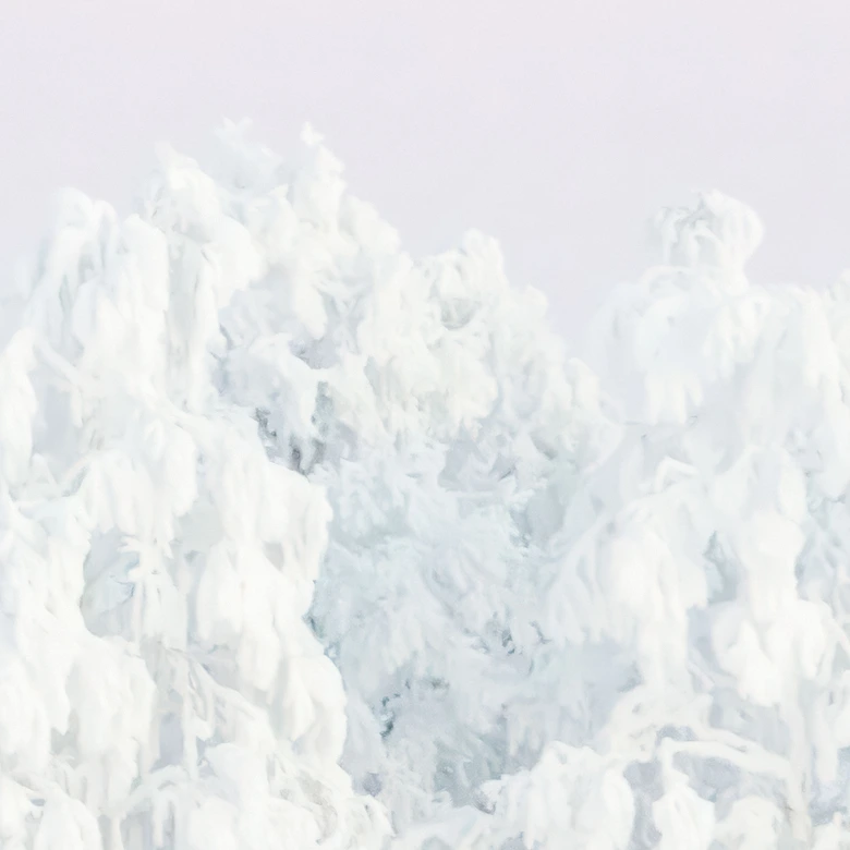 Fototapete Winterlandschaft - Verschneiter Winterwald mit Mond - EMELIEmaria 