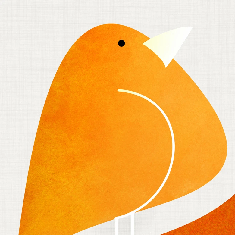 Fotomural de pájaros de colores - Gallagher 
