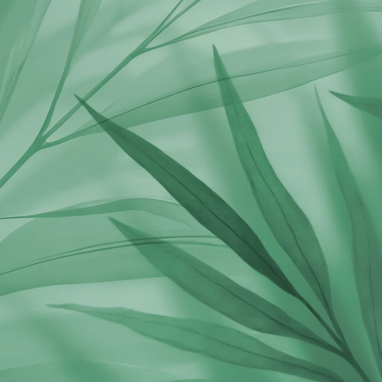 Fototapete Grüne Palmenblätter 
