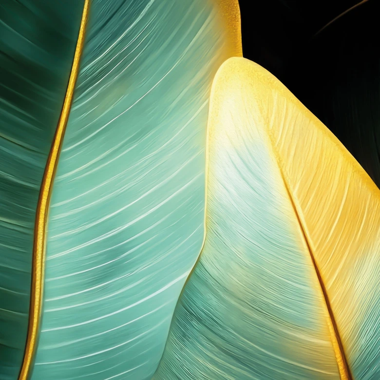 Fototapete Exotische Bananenblätter | Dschungel Tapete - Jaszke 