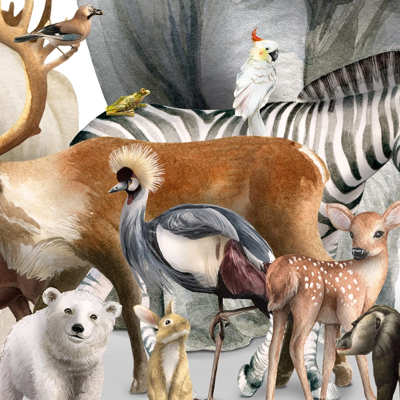 Fototapet Kikki Belle - Biodiversitet 