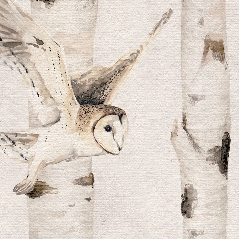 Owls in the birch forest wallpaper - Kikki Belle 
