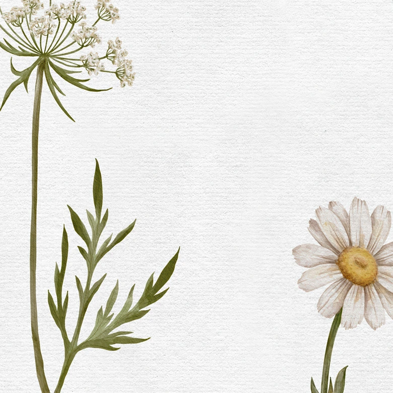 Fototapete Wiesenromantik mit Feldblumen - Kikki Belle 