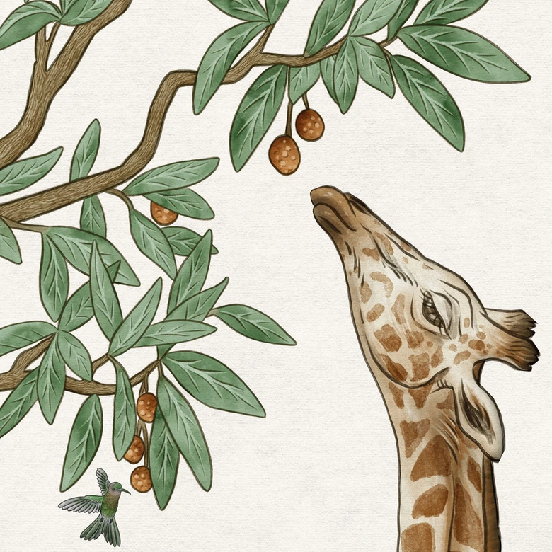 Objetos ocultos animales de la selva | Fotomural para habitaciones infantiles - Kikki Belle 