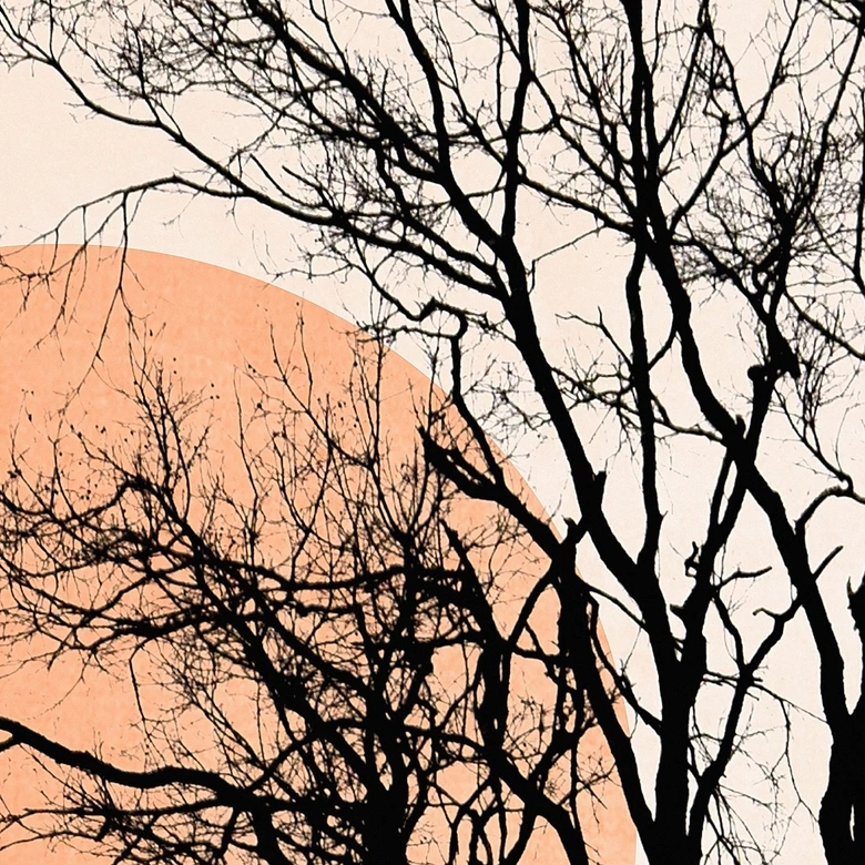 Fototapet Sol og måne i orange - Kubistika 