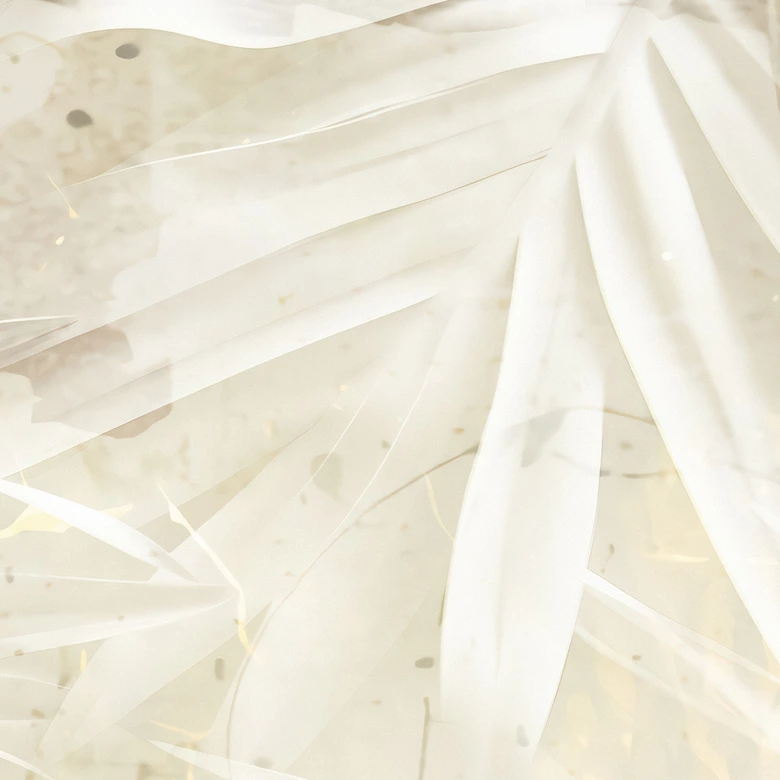 Fototapeta tropikalna abstrakcyjne białe liście palmy - Kulik 