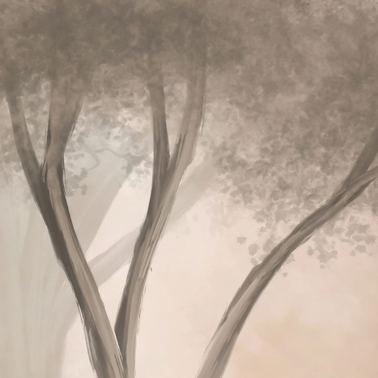 Fototapete Waldtapete Waldmagie im Morgennebel Beige - Ms Tiff 