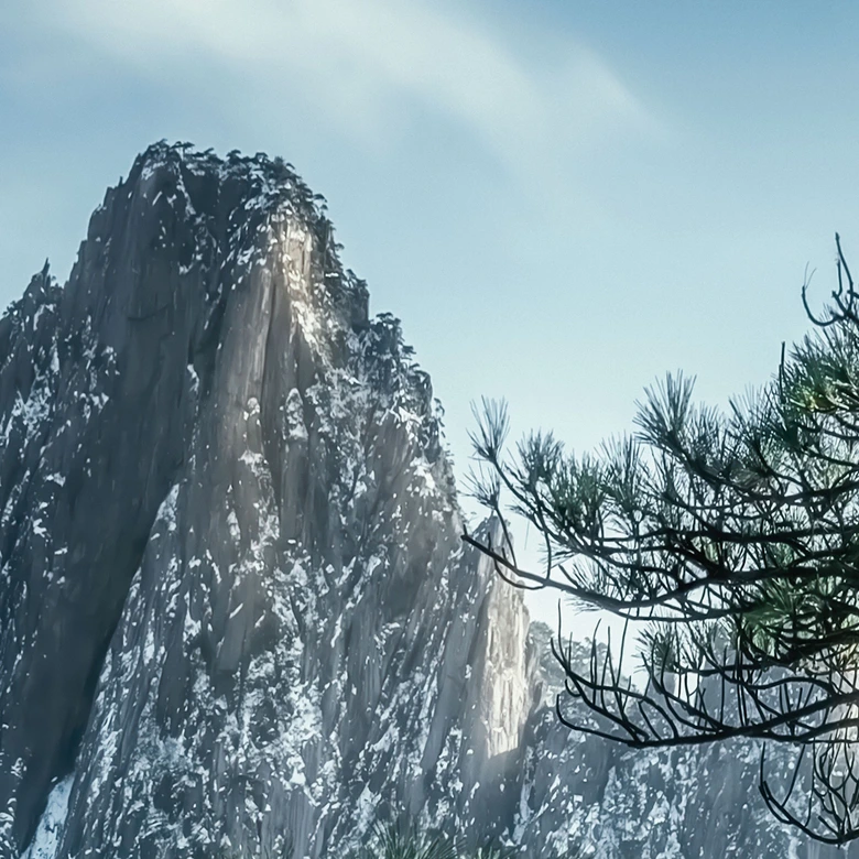 Fototapete Kiefernwald im Huang Shan Gebirge - NingYun Ye 