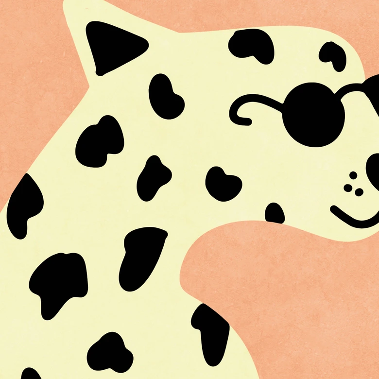 Tier Fototapete Eleganter Gepard mit Sonnenbrille - Oltmanns 