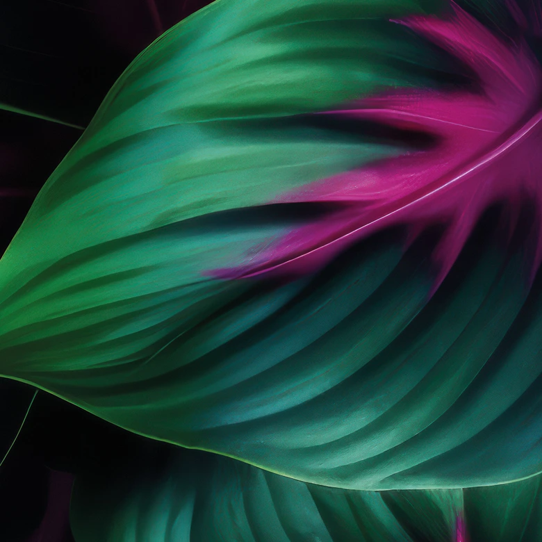 Fototapete Farbenfrohe Dschungelpflanzen - Paksoylu 