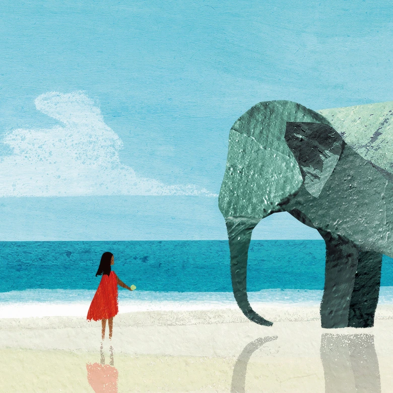 Wall Mural 
Elephant Beach in India - Rivers 