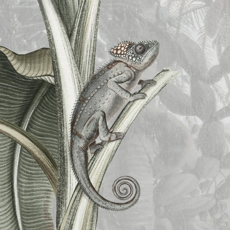 Sir Edward - Botanik - svartvit Fototapet 