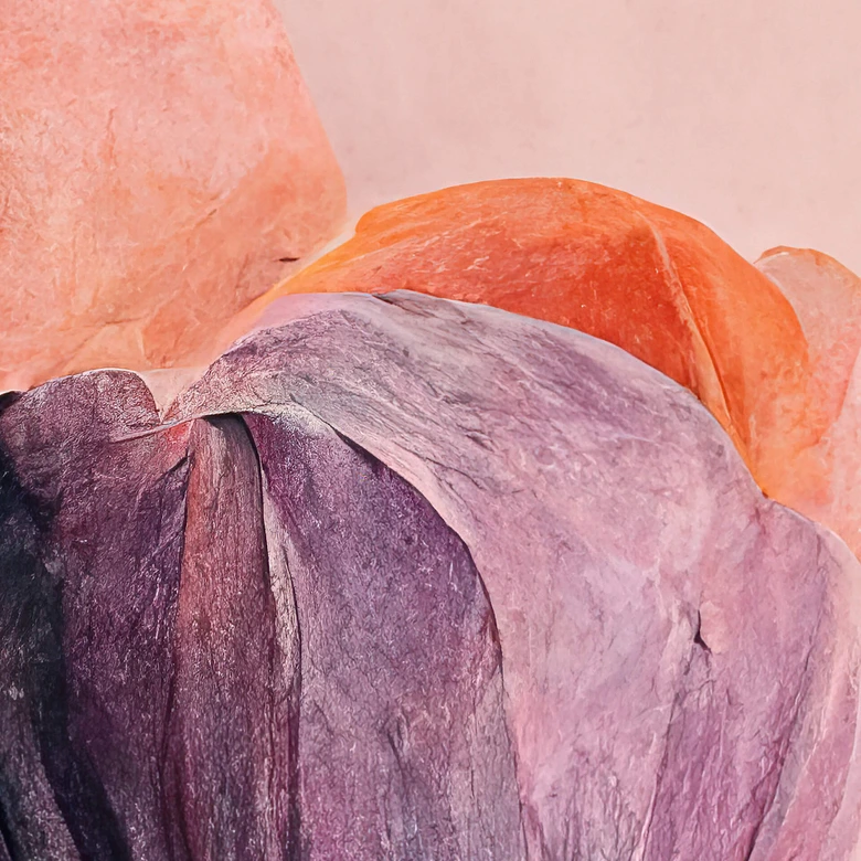 Fototapet Treechild - Lilac Tulips 