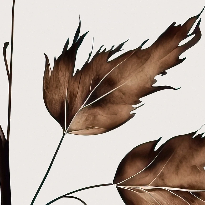 Wall Mural Cream Dried Flowers - Treechild 