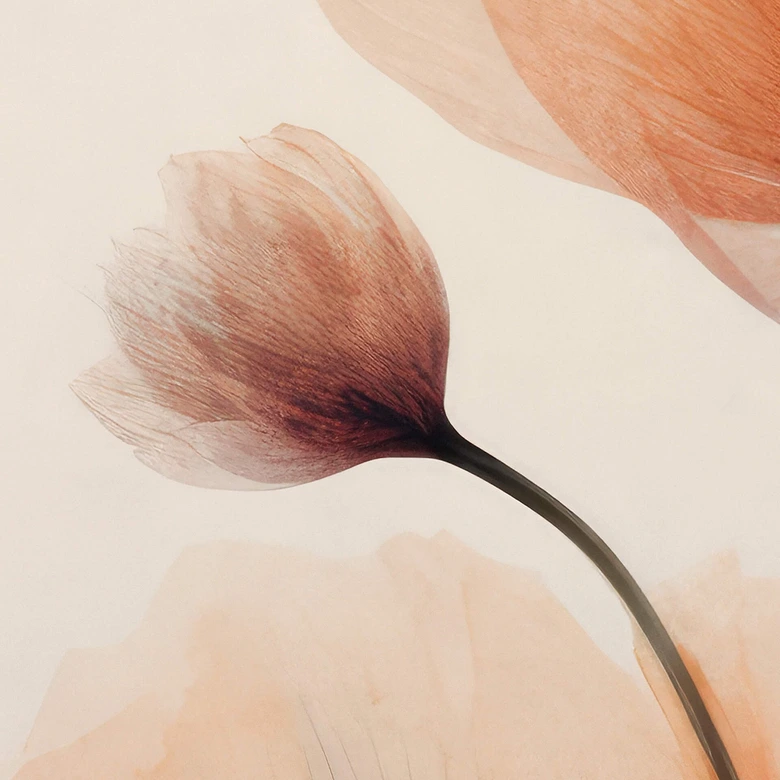 Fototapete Blumentapete - Zarte Blüten - Treechild 