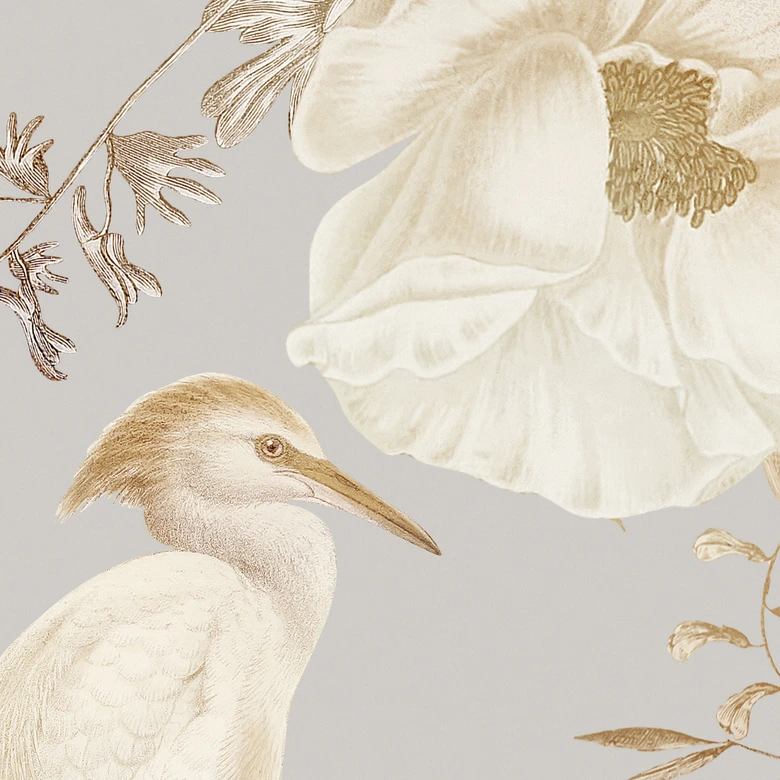 Fototapete Vögel zwischen weißen Blumen - UN Designs 