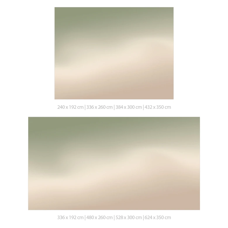 Papel pintado Ombre - Niebla del bosque 