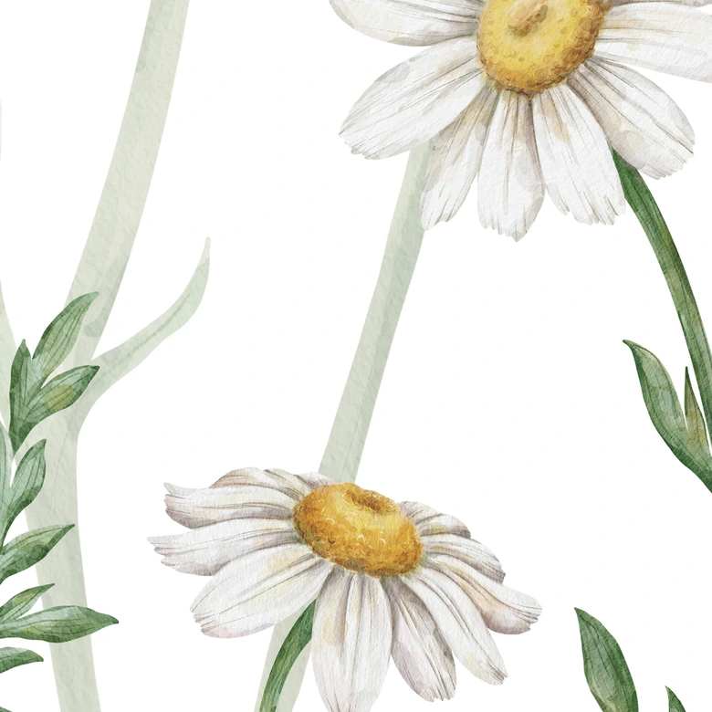 Fototapete Sir Edward - Blumiger Frühlingsspaziergang 