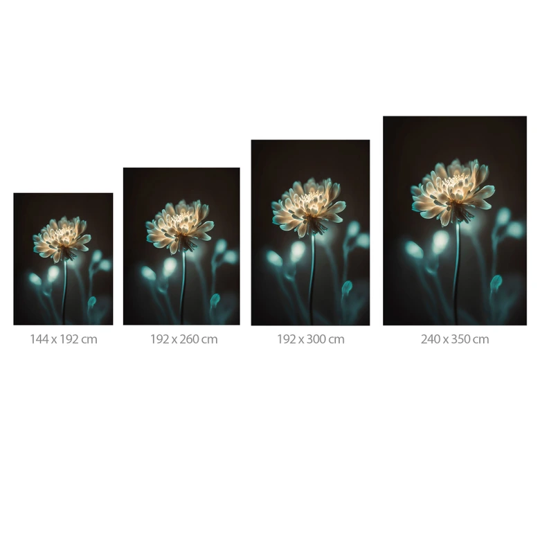 Fototapete Blumentapete Leuchtendes Blütenherz - Treechild 