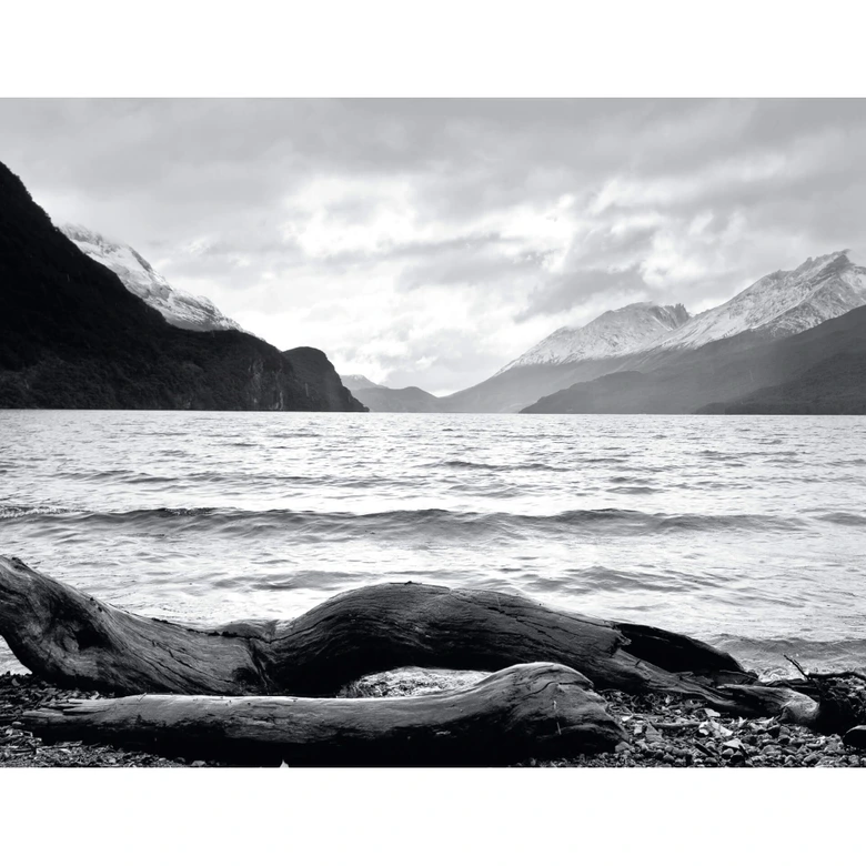 Fototapete Log and Lake 